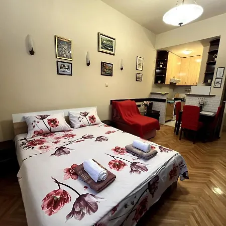 Arena View Apartment